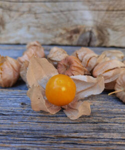Unsere Empfehlung: Physalis - physalis