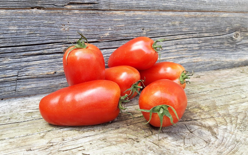 Unsere Empfehlung: Tomate San Marzano - tomate san marzano